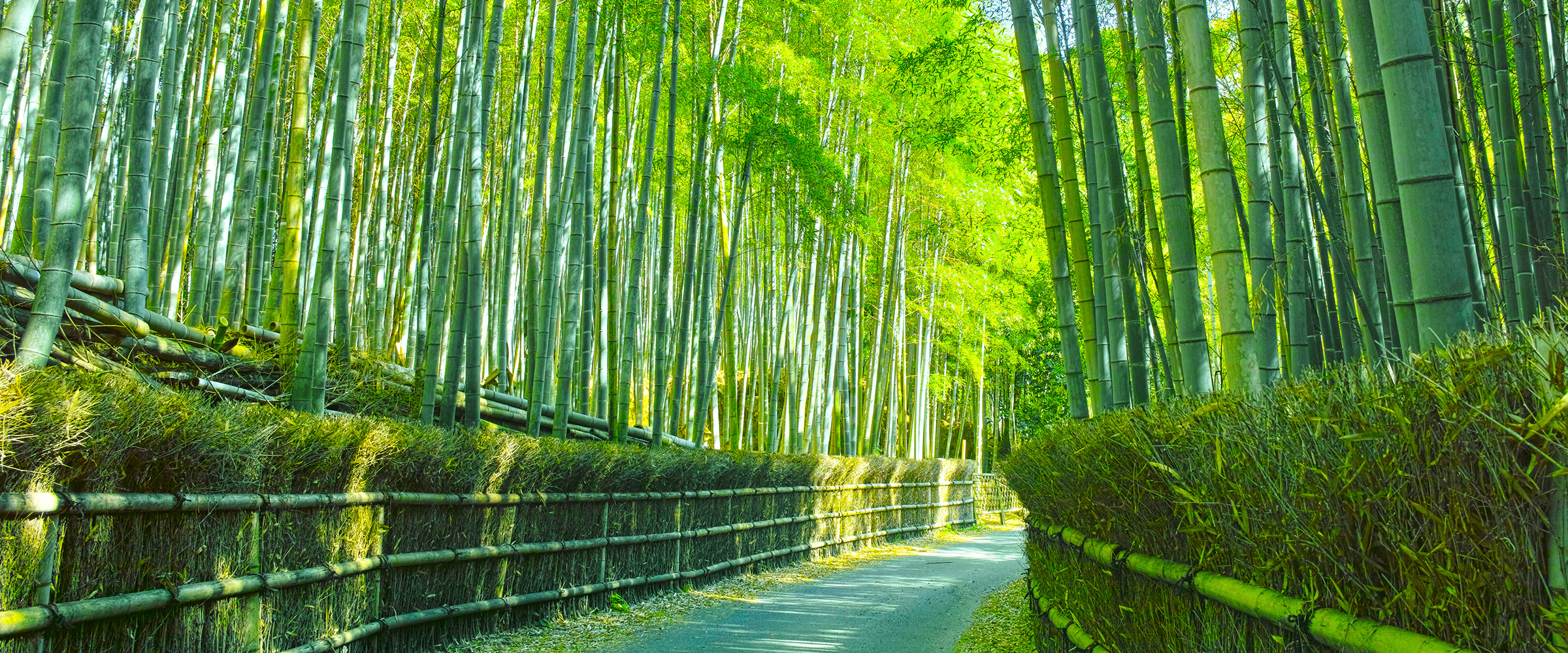 八坂神社